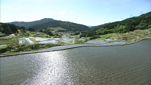 日本岐阜的Sakaori梯田上，阳光闪闪发光。视频素材