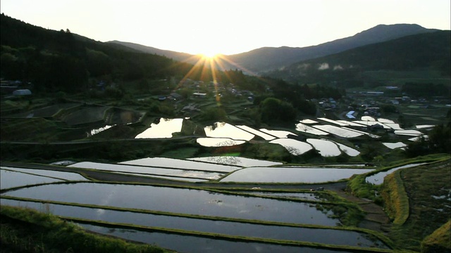 初升的太阳把阳光洒在日本的Sakaori梯田上。视频素材