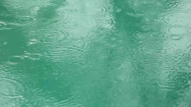 雨水滴进水池视频素材