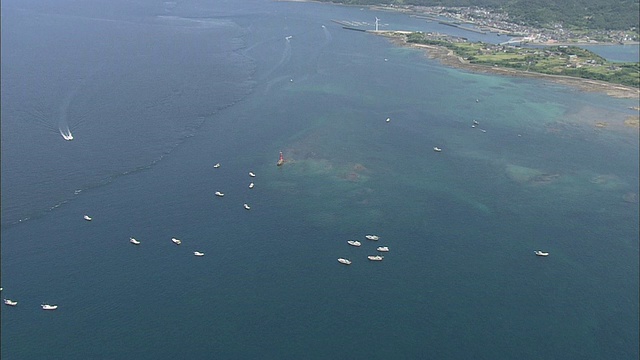 观看海豚的船只漂浮在日本熊本辻岛海岸外的热带海洋上。视频素材