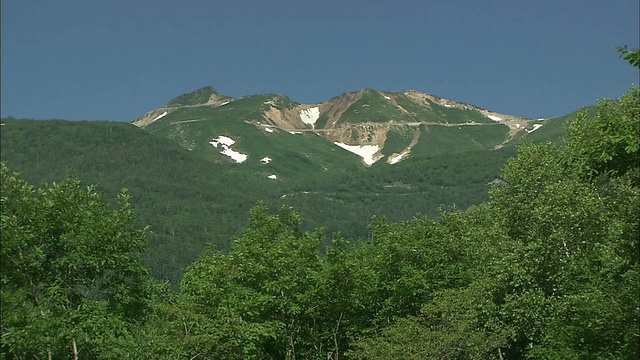 成片的雪还留在茂密的纪仓山的山坡上。视频素材