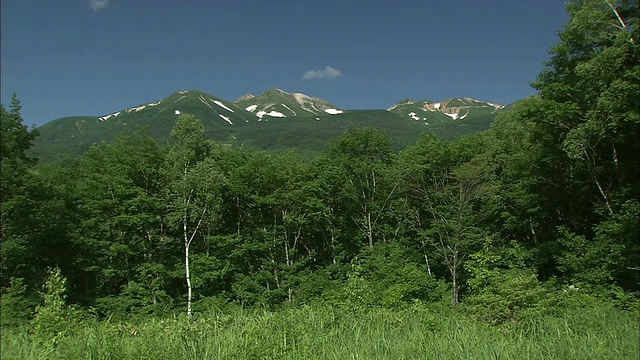 成片的雪还留在茂密的纪仓山的山坡上。视频素材