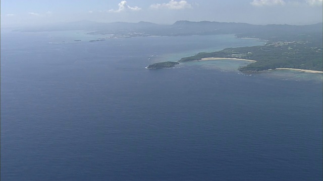 日本名护市冲绳县海岸附近，一只儒艮正在游泳。视频素材