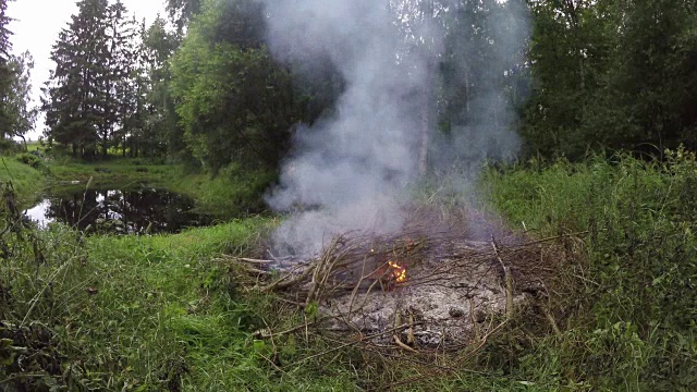 池塘边的草地上，篝火熊熊燃烧视频素材