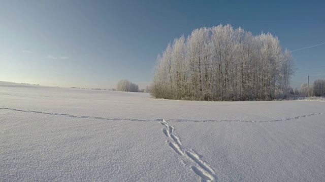 雪地上的脚印，时光流逝视频素材