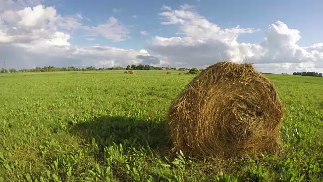 草地上的草堆，时光流逝视频素材