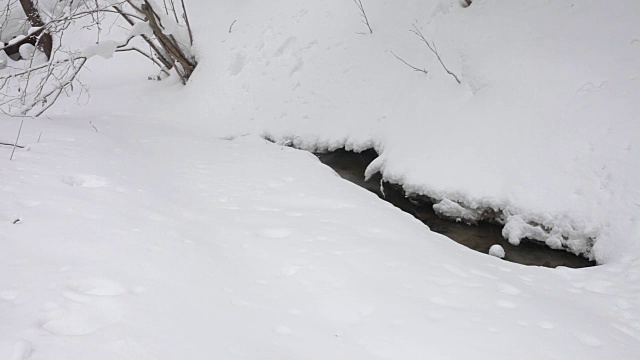 冬天森林里的小溪穿过蓬松的雪堆。下雪了。树上覆盖着雪帽。视频素材