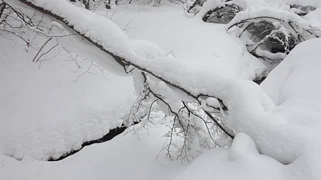 冬天森林里的小溪。下雪了。视频素材