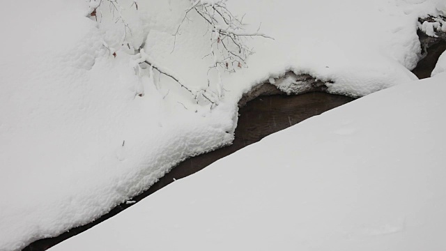 冬天森林里的小溪。下雪了。视频素材