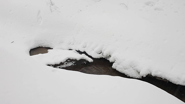 冬天森林里的小溪穿过蓬松的雪堆。下雪了。树上覆盖着雪帽。视频下载