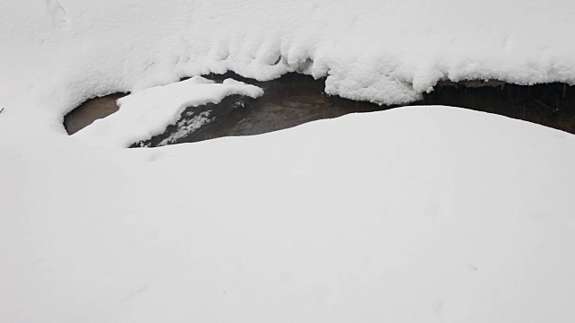 冬天森林里的小溪穿过蓬松的雪堆。下雪了。树上覆盖着雪帽。视频下载