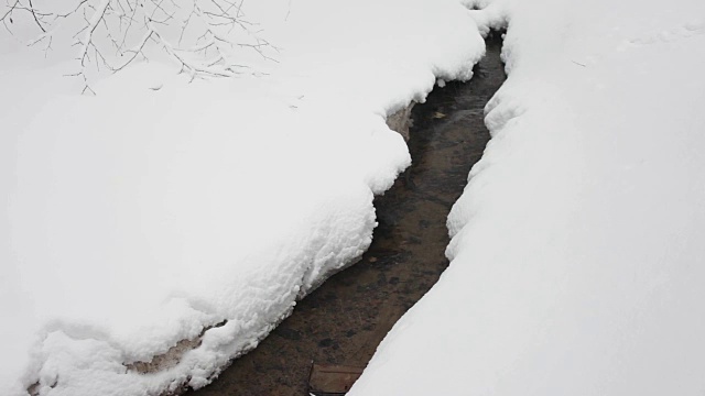 冬天森林里的小溪穿过蓬松的雪堆。下雪了。视频下载