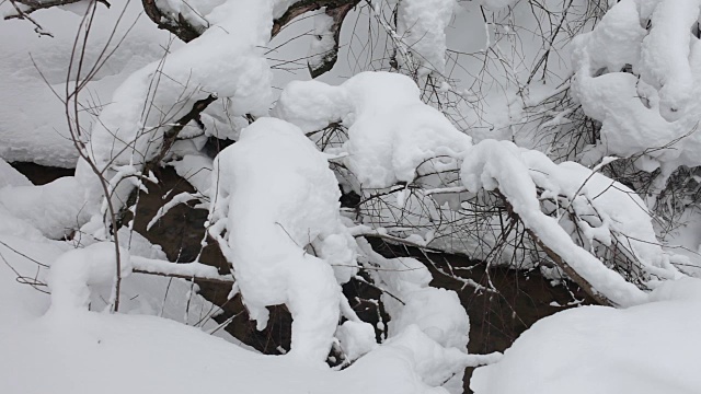 冬天森林里的小溪穿过蓬松的雪堆。下雪了。树上覆盖着雪帽。视频下载