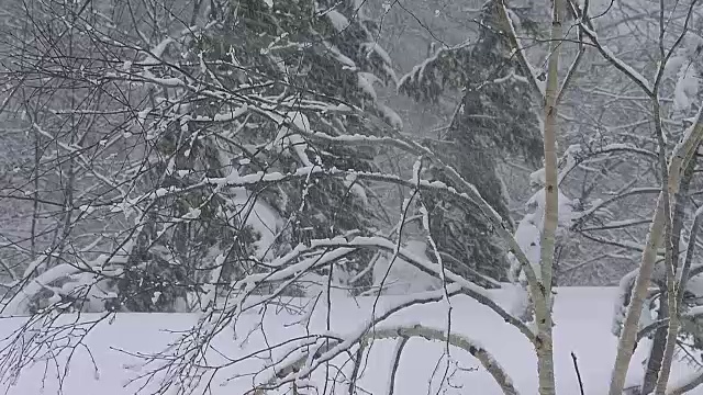 《暴风雪中的院子》，日本北海道视频素材