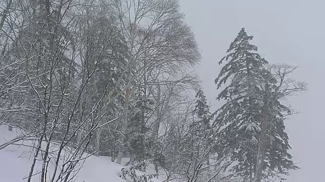 《暴风雪中的院子》，日本北海道视频素材