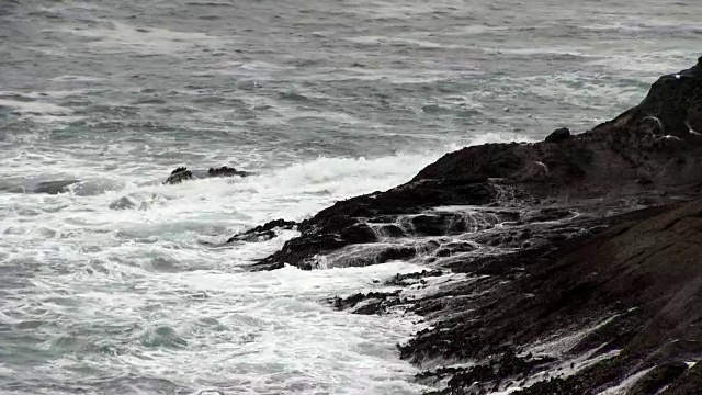 海鸥群飞过熔岩岩海岸海浪视频素材