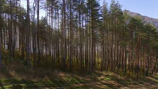 4K空中平移森林中松树的山地景观，和谐的理念视频素材