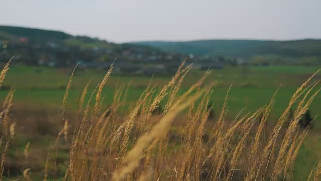 景观全景。村庄景色视频素材