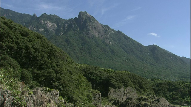 屋久在日本视频素材