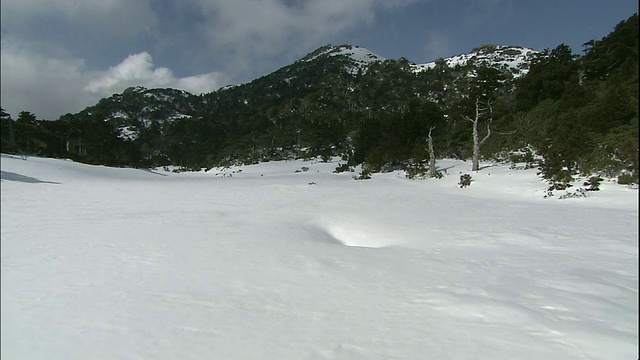 屋久岛雪山视频素材