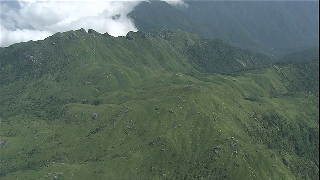 屋久在日本视频素材