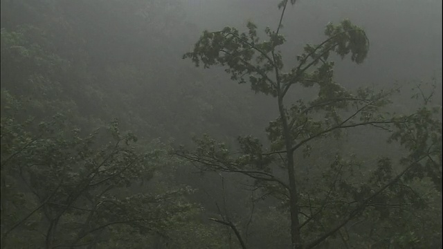 台风在屋久。视频素材