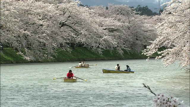 樱花和宽崎城视频素材