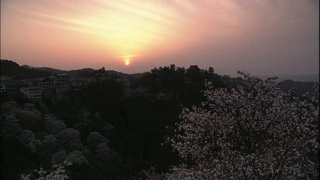 樱花和吉野山视频素材