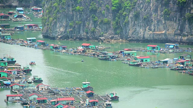 越南下龙湾石灰岩岛屿上的漂浮村庄视频素材