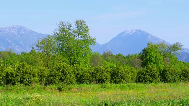 春天来了地中海绿色草地森林，雪山冰视频素材