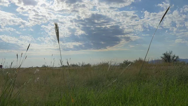 在全国高速公路上飞驰而过的大型半挂货车视频素材