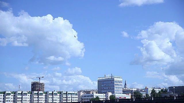 海鸥在蓝天下飞翔视频素材