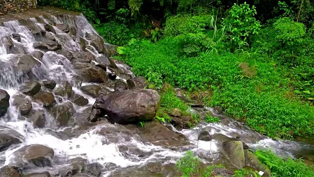 森林溪流在长满苔藓的岩石上流淌，声音为4K视频素材