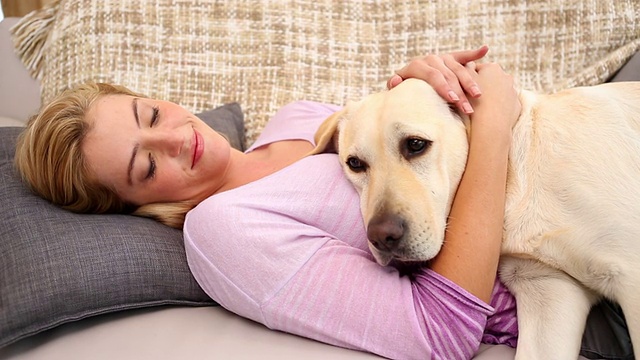 快乐的金发女郎在沙发上抚摸拉布拉多犬视频素材