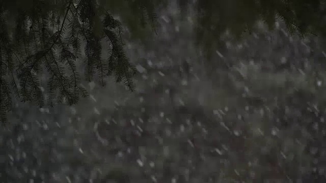 松枝下大雪视频素材