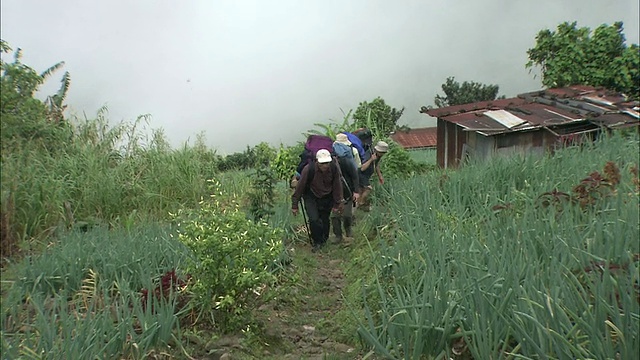 登山者在马来西亚视频素材