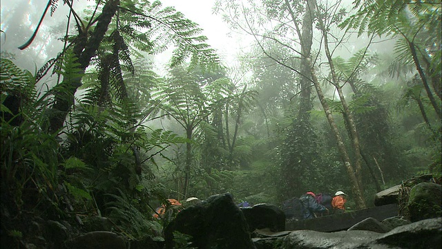 在马来西亚的基纳巴卢山徒步旅行视频素材