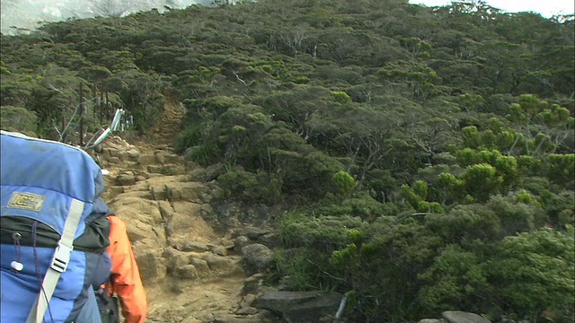 马来西亚基纳巴卢山的登山者视频素材