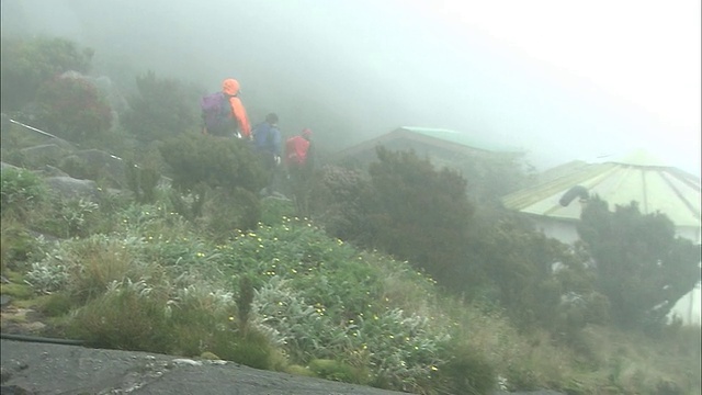 马来西亚基纳巴卢山的雨中登山队视频素材