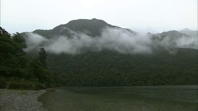 新西兰;南阿尔卑斯山;塔斯曼海视频素材