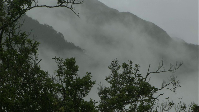 新西兰;南阿尔卑斯山;塔斯曼海视频素材