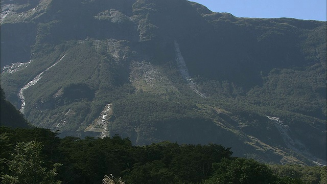 新西兰;南阿尔卑斯山;温带雨林视频素材