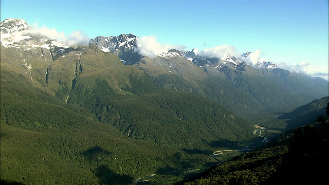 新西兰;南阿尔卑斯山;温带雨林视频素材