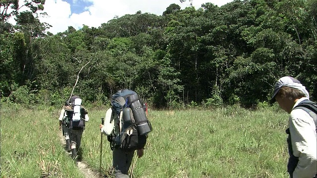 圭亚那高地徒步旅行视频素材