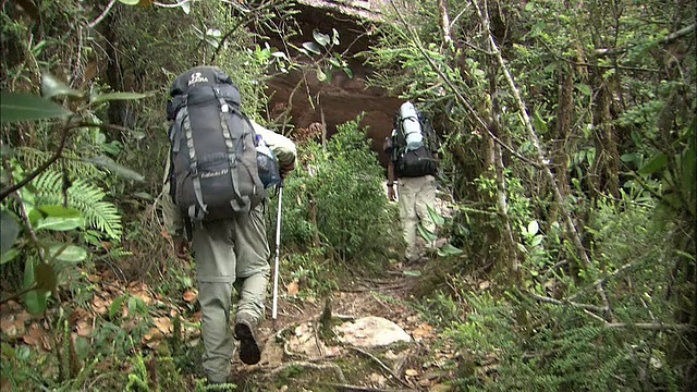 抵达圭亚那高地露营地的徒步旅行者视频素材