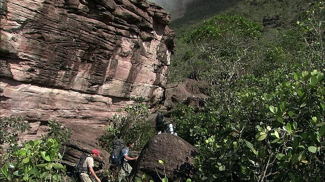 圭亚那高地的森林徒步旅行视频素材