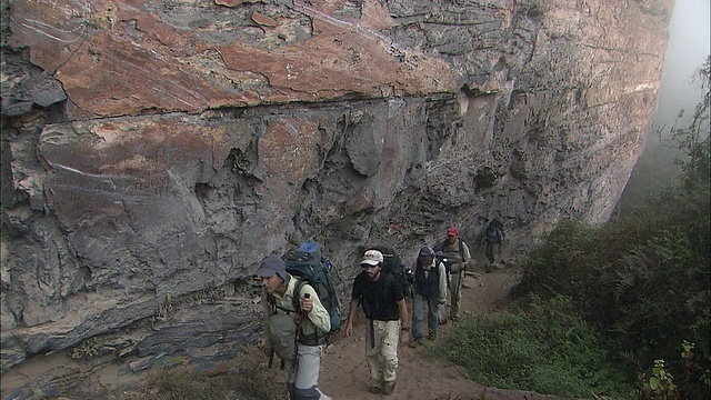 圭亚那高地的森林徒步旅行视频素材