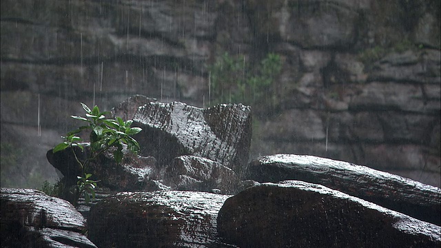 圭亚那高地Auyantepui的雨量为2001米视频素材