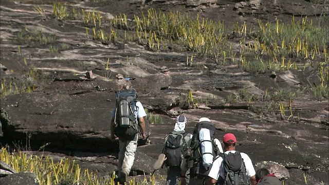 在圭亚那高地Auyantepui山顶徒步旅行视频素材