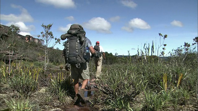 在圭亚那高地Auyantepui山顶徒步旅行视频素材